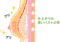 仕上がりの良いバストの形