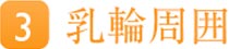 乳頭周囲