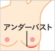 アンダーバスト