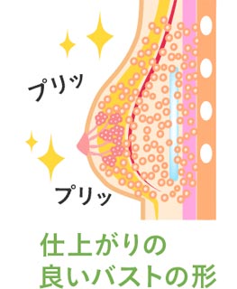 仕上がりの良いバストの形