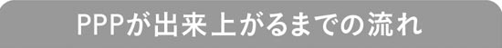 PPPができ上がるまでの流れ
