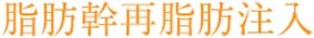 脂肪幹再脂肪注入